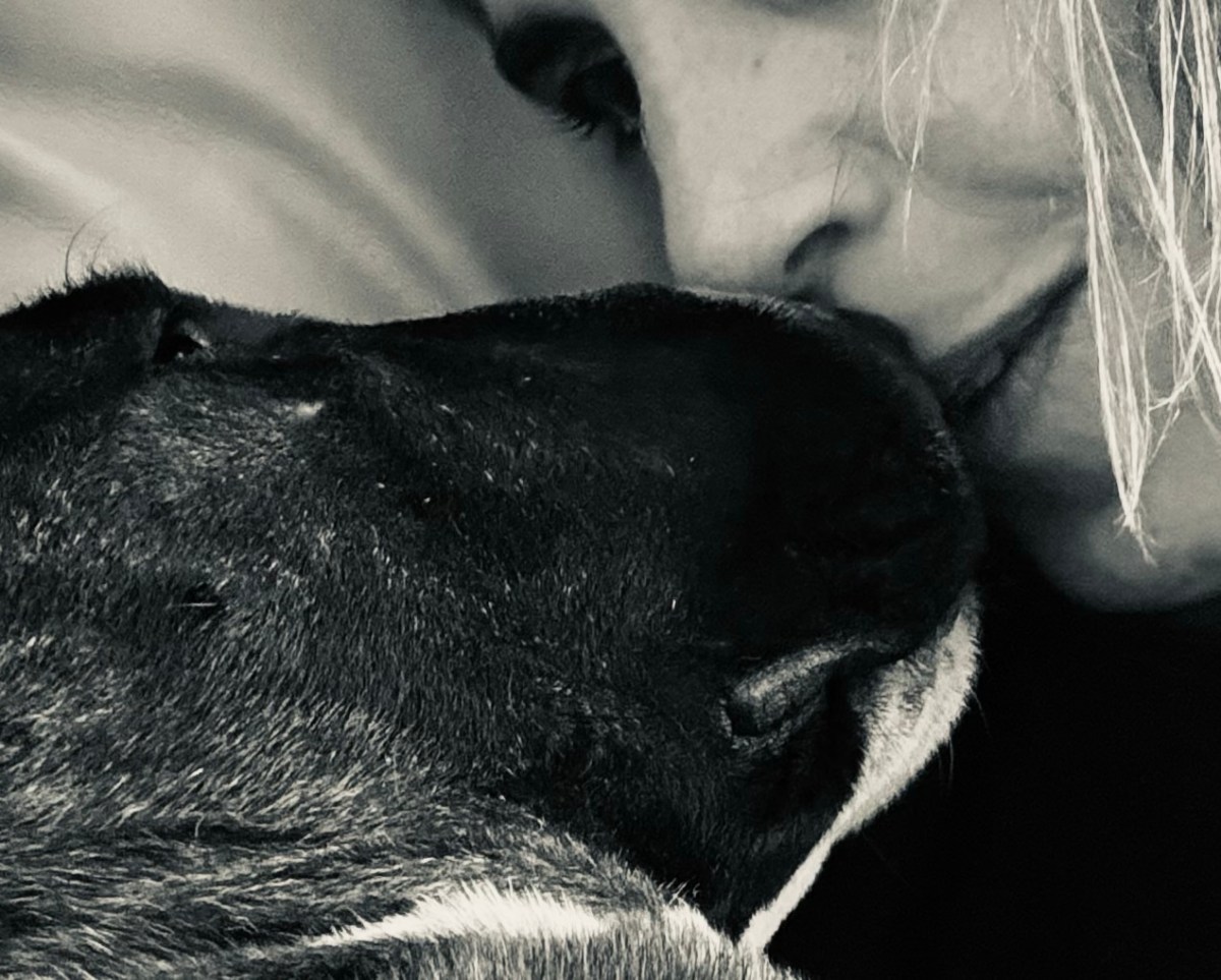 I think he does&nbsp;understand….